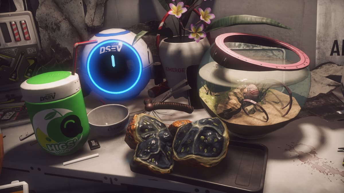 THE DESIGN IS IN THE DETAILS: IMMERSION AND WORLDBUILDING IN ROBINSON
